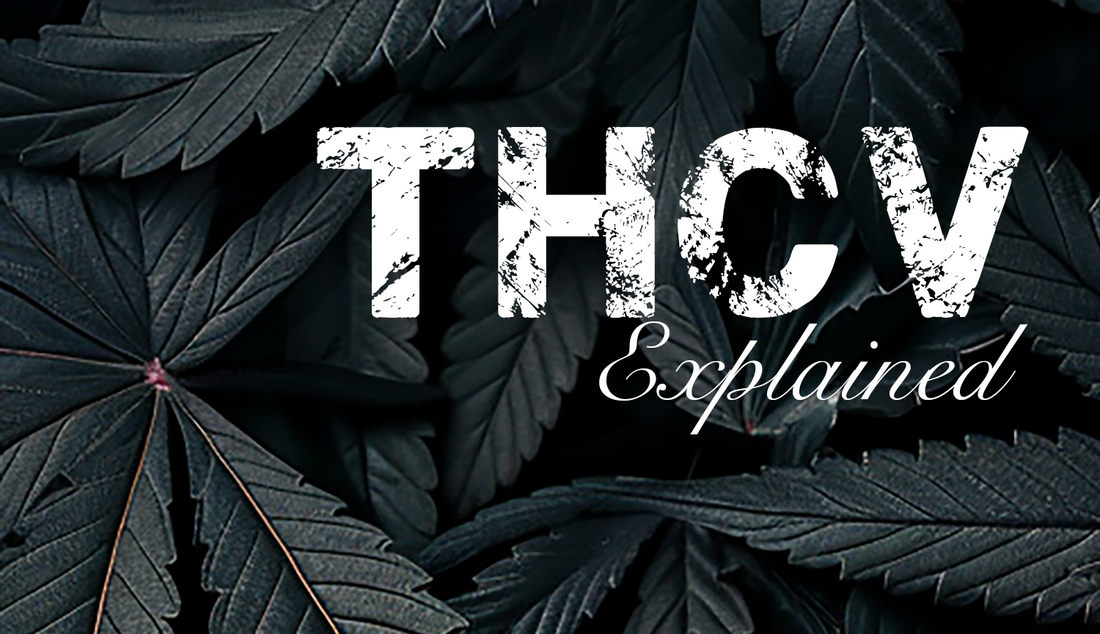 THCV Explained