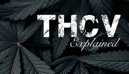 THCV Explained